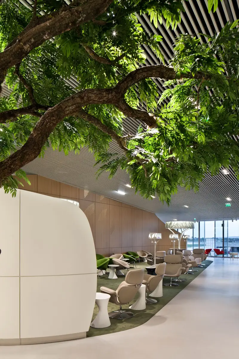 Agence Digitale Cannes - Après